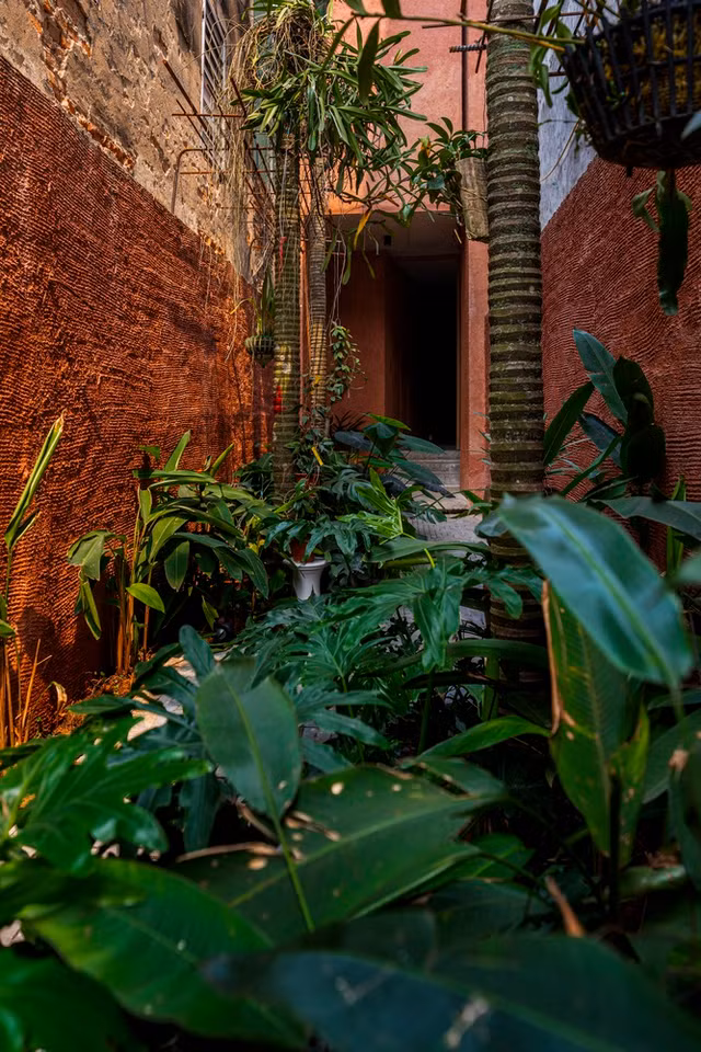 Bao My tam tac khen nha pho nhu “oc dao” giua long Ha Noi-Hinh-3