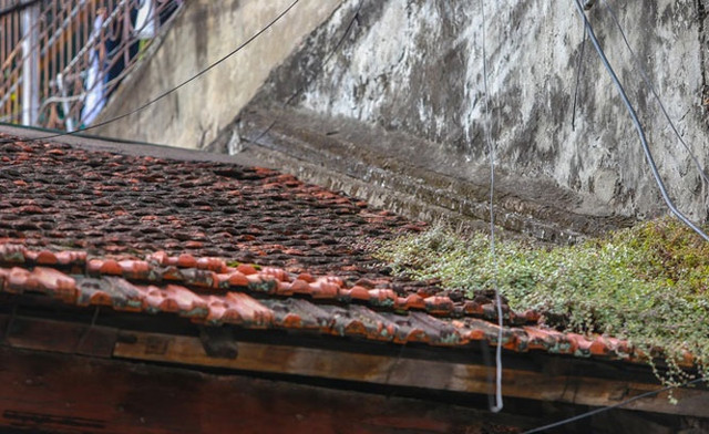 Cận cảnh nhà gỗ lim trăm tuổi “độc nhất” phố cổ Hà Nội - Hình 11 Can canh nha go lim tram tuoi “doc nhat” pho co Ha Noi-Hinh-11