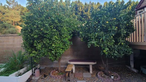 Cận cảnh biệt thự rộng mênh mông ở Mỹ của Thu Phương và Dũng Taylor - Hình 4 Can canh biet thu rong menh mong o My cua Thu Phuong va Dung Taylor-Hinh-4