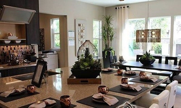 Cận cảnh biệt thự rộng mênh mông ở Mỹ của Thu Phương và Dũng Taylor - Hình 3 Can canh biet thu rong menh mong o My cua Thu Phuong va Dung Taylor-Hinh-3