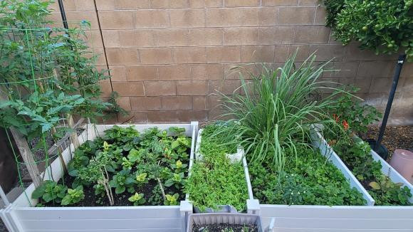 Cận cảnh biệt thự rộng mênh mông ở Mỹ của Thu Phương và Dũng Taylor - Hình 7 Can canh biet thu rong menh mong o My cua Thu Phuong va Dung Taylor-Hinh-7