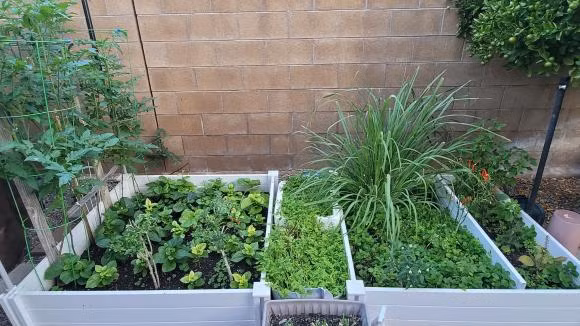 Can canh biet thu rong menh mong o My cua Thu Phuong va Dung Taylor-Hinh-7