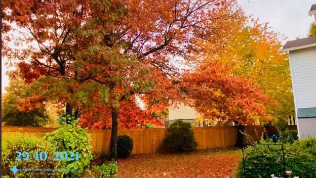 Manh Quynh so huu khu vuon nhu mo trong biet thu o My-Hinh-8