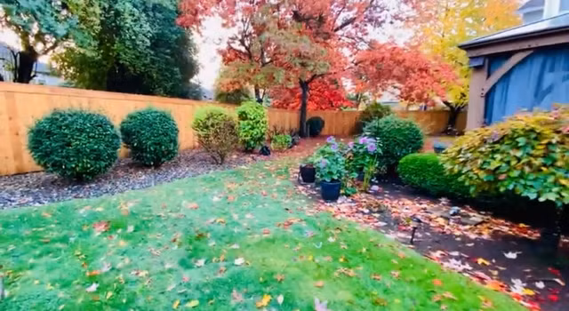 Manh Quynh so huu khu vuon nhu mo trong biet thu o My-Hinh-10