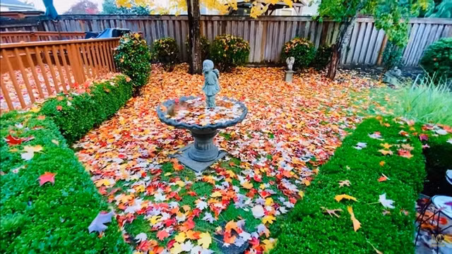 Manh Quynh so huu khu vuon nhu mo trong biet thu o My-Hinh-6