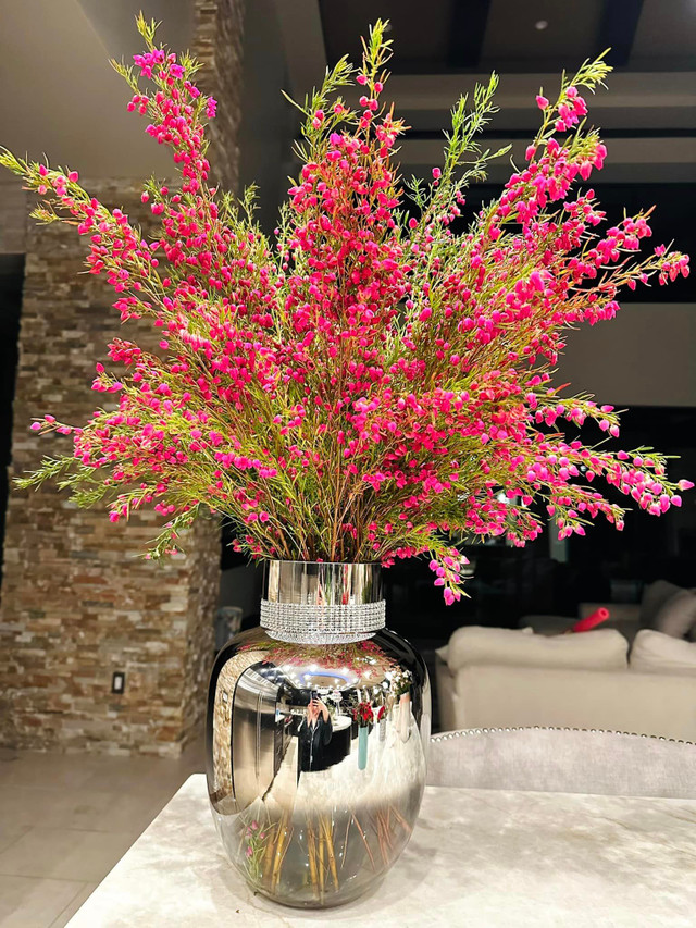 Cận cảnh biệt thự 4.000 m2 ngập hoa tươi của vợ cũ Đan Trường - Hình 7 Can canh biet thu 4.000 m2 ngap hoa tuoi cua vo cu Dan Truong-Hinh-7