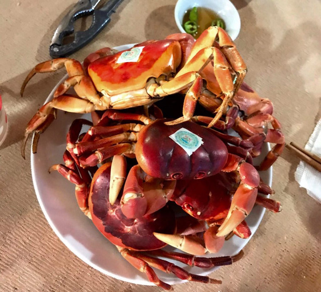 Loài cua lạ thơm mùi thuốc bắc, 2 triệu đồng/kg vẫn “cháy hàng“ - Hình 9 Loai cua la thom mui thuoc bac, 2 trieu dong/kg van “chay hang“-Hinh-9