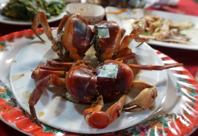 Loài cua lạ thơm mùi thuốc bắc, 2 triệu đồng/kg vẫn “cháy hàng“ Loai cua la thom mui thuoc bac, 2 trieu dong/kg van “chay hang“