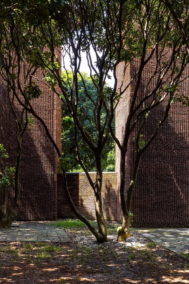 Can canh co ngoi 5.000m2 cua danh hai Xuan Hinh-Hinh-8