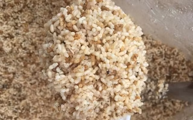 Trứng kiến gai đen có gì đặc biệt mà giá tới gần triệu đồng? - Hình 7 Trung kien gai den co gi dac biet ma gia toi gan trieu dong?-Hinh-7