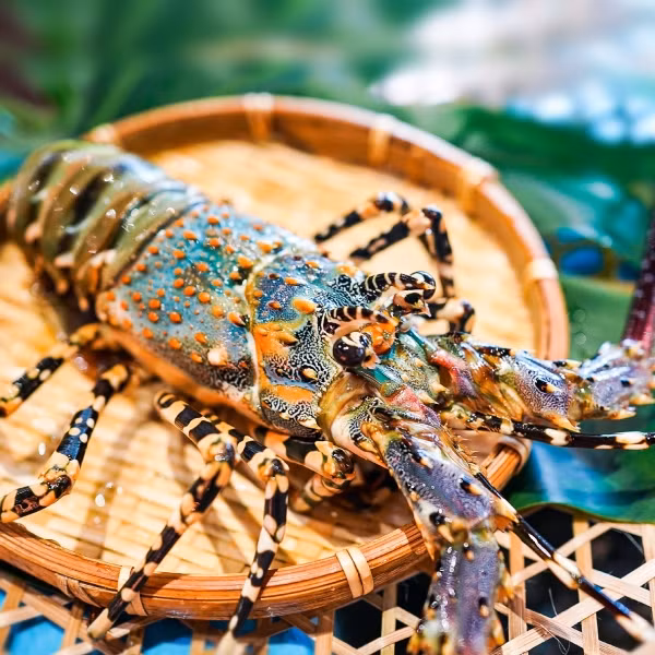 Vi sao tom hum bong rot gia the tham?-Hinh-9