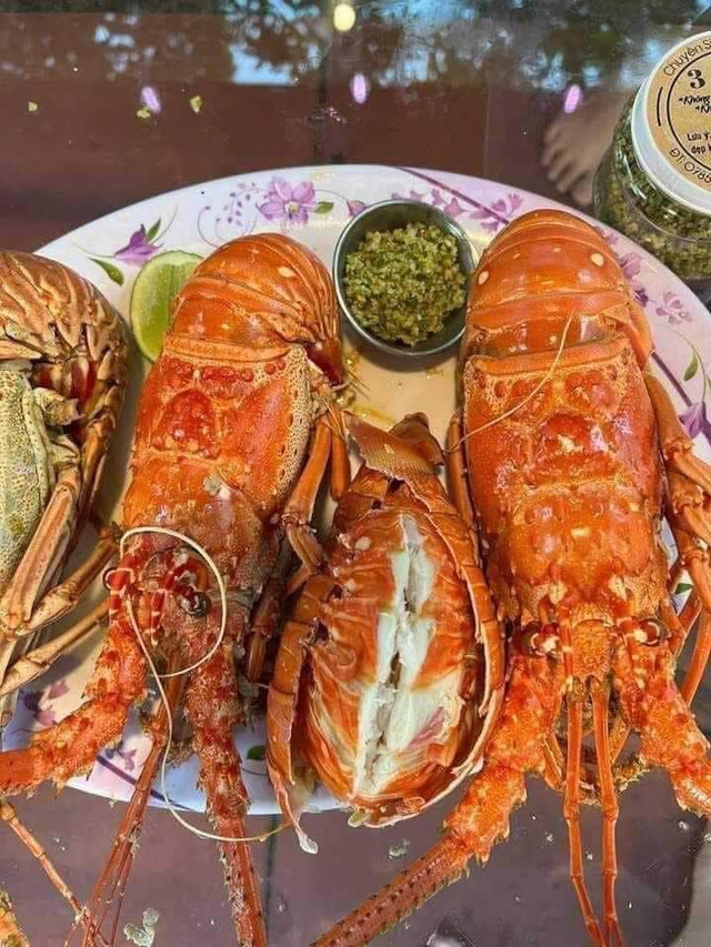 Vì sao tôm hùm bông rớt giá thê thảm? - Hình 5 Vi sao tom hum bong rot gia the tham?-Hinh-5