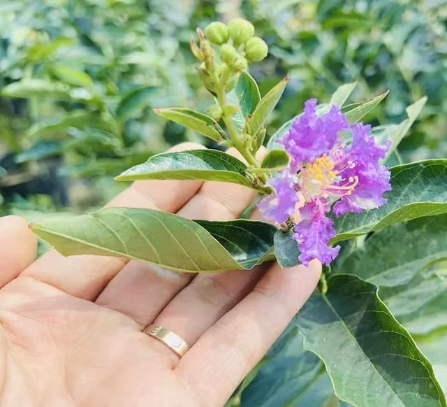 Doanh nhan Thang Ngo tuoi roi sau thoi gian chia thay vo Ha Thanh Xuan-Hinh-8