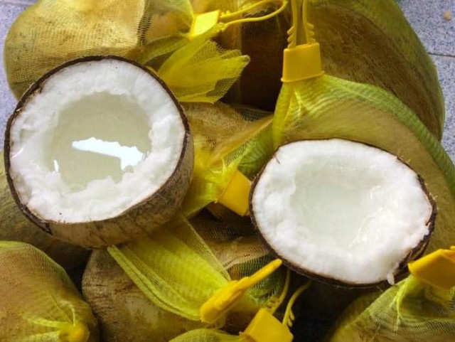 Vì sao mứt dừa sáp có giá đắt đỏ gần nửa triệu đồng/kg? - Hình 3 Vi sao mut dua sap co gia dat do gan nua trieu dong/kg?-Hinh-3