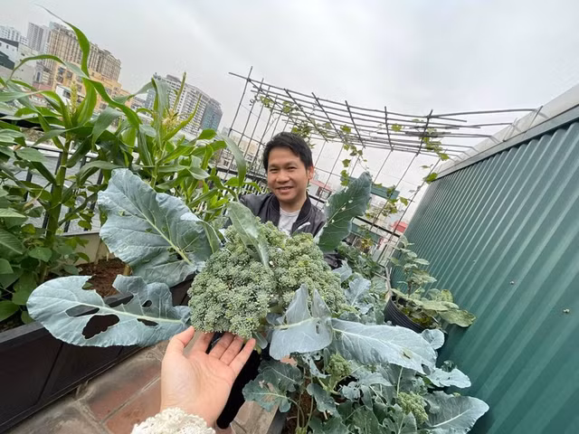 Co ngoi khung cua 3 “ong hoang nhac do” Viet Nam-Hinh-9