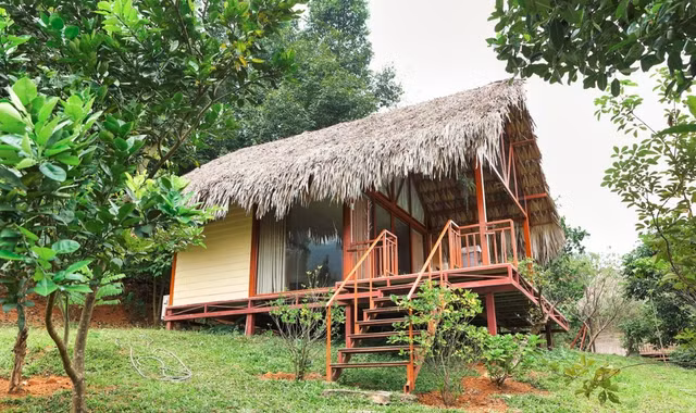 Co ngoi khung cua 3 “ong hoang nhac do” Viet Nam-Hinh-3