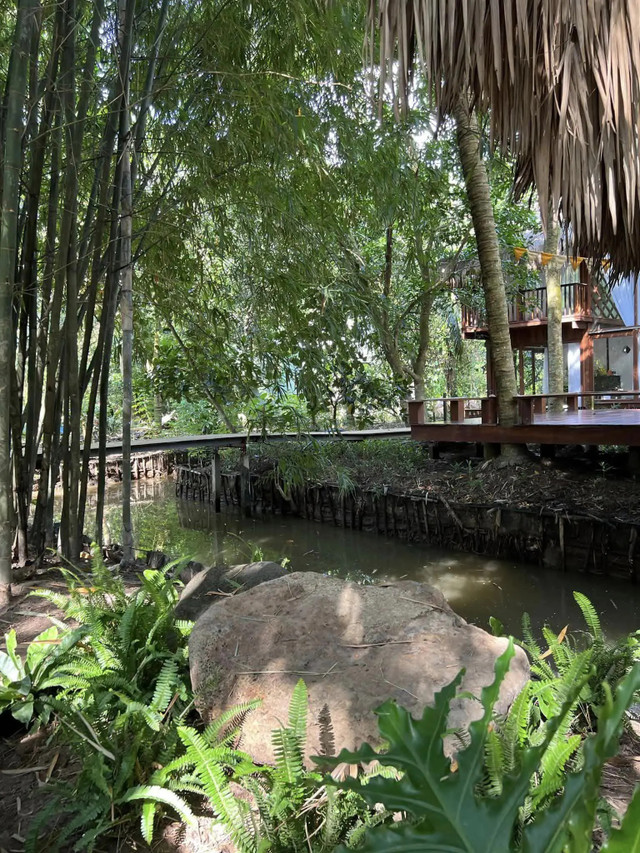 Diễn viên Vân Trang đầu tư hàng chục tỷ vào khu sinh thái 50.000m2 - Hình 3 Dien vien Van Trang dau tu hang chuc ty vao khu sinh thai 50.000m2-Hinh-3