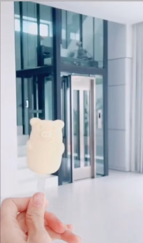 Can canh khong gian song sang chanh cua vo chong Cong Vinh - Thuy Tien-Hinh-5