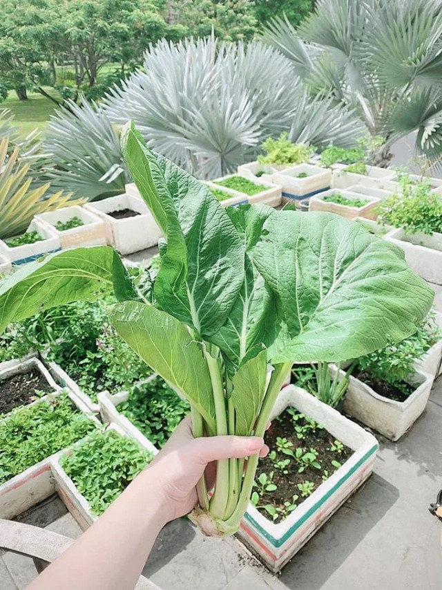 Tận mục biệt thự 2 mặt tiền sang trọng của Bảo Thy và chồng đại gia - Hình 12 Tan muc biet thu 2 mat tien sang trong cua Bao Thy va chong dai gia-Hinh-12