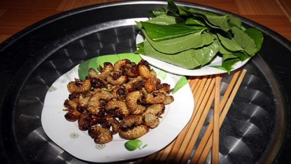 Sùng đất 'thần dược phòng the' đắt đỏ tính bằng tiền triệu - Hình 12 Sung dat 'than duoc phong the' dat do tinh bang tien trieu-Hinh-12