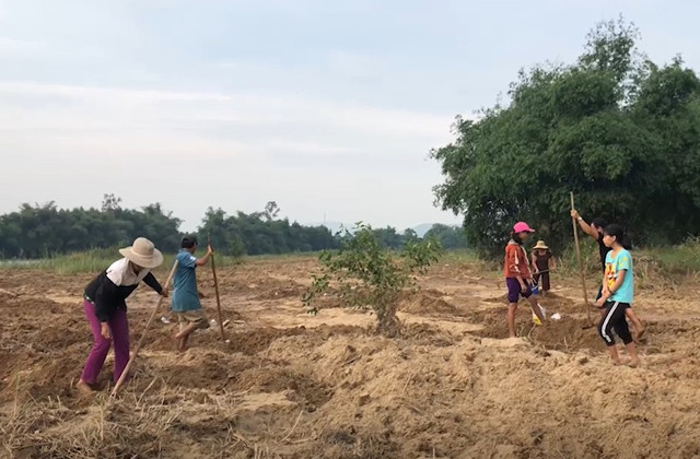 Sùng đất 'thần dược phòng the' đắt đỏ tính bằng tiền triệu - Hình 5 Sung dat 'than duoc phong the' dat do tinh bang tien trieu-Hinh-5