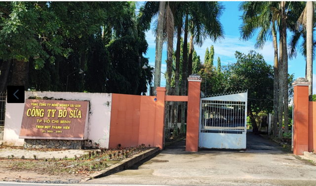 Cty Kim Ngoan thắng lớn tại loạt gói thầu phân bón, hóa chất của Bò sữa TP HCM Cty Kim Ngoan thang lon tai loat goi thau phan bon, hoa chat cua Bo sua TP HCM