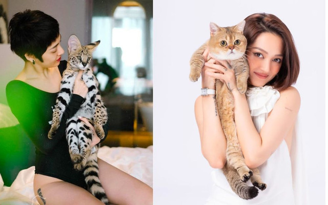 Ca sĩ Bảo Anh sở hữu khối tài sản đáng mơ ước ở tuổi 31 - Hình 11 Ca si Bao Anh so huu khoi tai san dang mo uoc o tuoi 31-Hinh-11