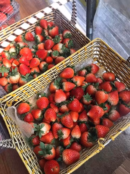 Bat mi meo phan biet dau tay Moc Chau voi dau Trung Quoc-Hinh-8