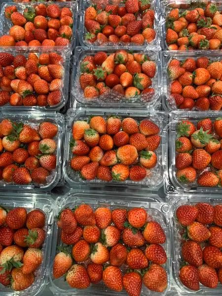 Bat mi meo phan biet dau tay Moc Chau voi dau Trung Quoc-Hinh-2