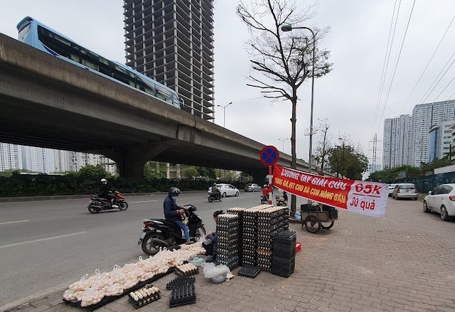 Su that vu trung ga giai cuu sieu re day via he-Hinh-3