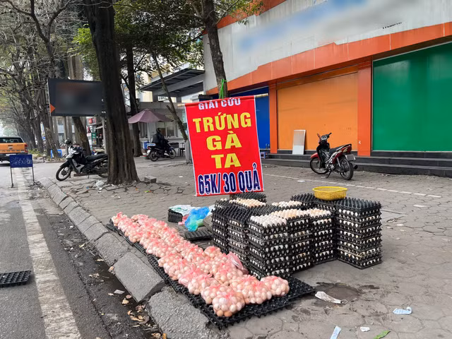 Su that vu trung ga giai cuu sieu re day via he-Hinh-5