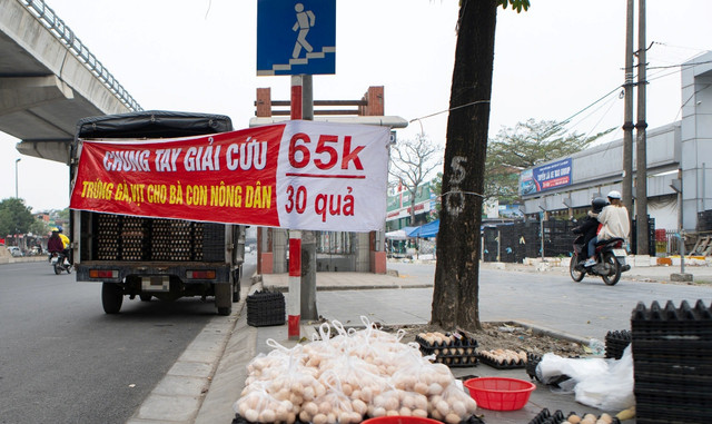 Sự thật vụ trứng gà giải cứu siêu rẻ đầy vỉa hè Su that vu trung ga giai cuu sieu re day via he
