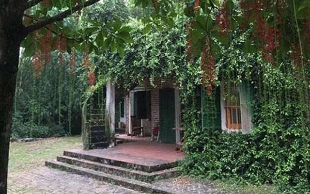 Vuon cay hang nghin met vuong day trai cua nghe si Chieu Xuan-Hinh-2