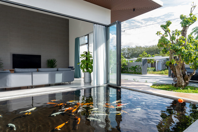 Cận cảnh dinh cơ 1.000 m2 có hồ nuôi cá Koi của cô gái độc thân Bình Dương - Hình 10 Can canh dinh co 1.000 m2 co ho nuoi ca Koi cua co gai doc than Binh Duong-Hinh-10