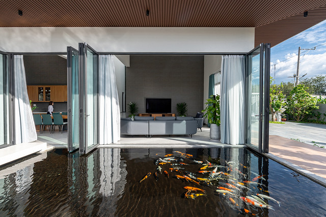 Cận cảnh dinh cơ 1.000 m2 có hồ nuôi cá Koi của cô gái độc thân Bình Dương - Hình 9 Can canh dinh co 1.000 m2 co ho nuoi ca Koi cua co gai doc than Binh Duong-Hinh-9