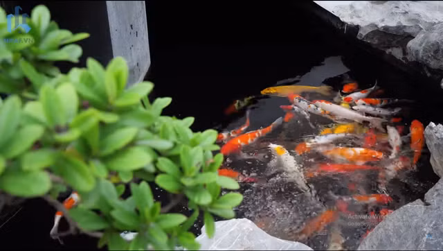 Ben trong toa nha mau trang 54 ty noi ban bat giua Ha thanh-Hinh-3