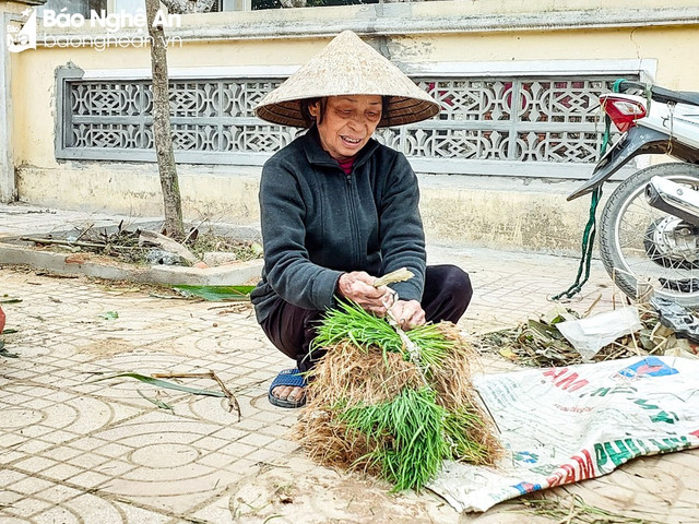 Thú vị phiên chợ bán lúa non độc lạ ở Nghệ An - Hình 6 Thu vi phien cho ban lua non doc la o Nghe An-Hinh-6