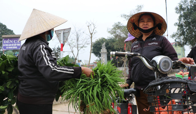 Thú vị phiên chợ bán lúa non độc lạ ở Nghệ An - Hình 8 Thu vi phien cho ban lua non doc la o Nghe An-Hinh-8