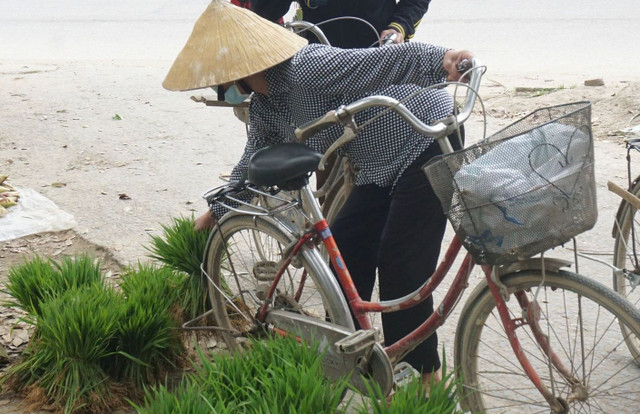 Thú vị phiên chợ bán lúa non độc lạ ở Nghệ An - Hình 3 Thu vi phien cho ban lua non doc la o Nghe An-Hinh-3