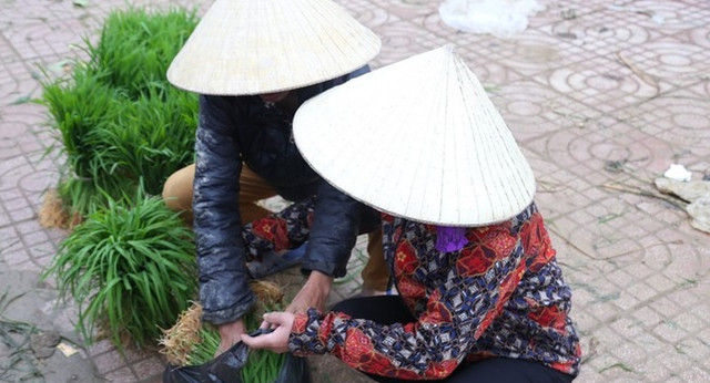 Thú vị phiên chợ bán lúa non độc lạ ở Nghệ An - Hình 10 Thu vi phien cho ban lua non doc la o Nghe An-Hinh-10