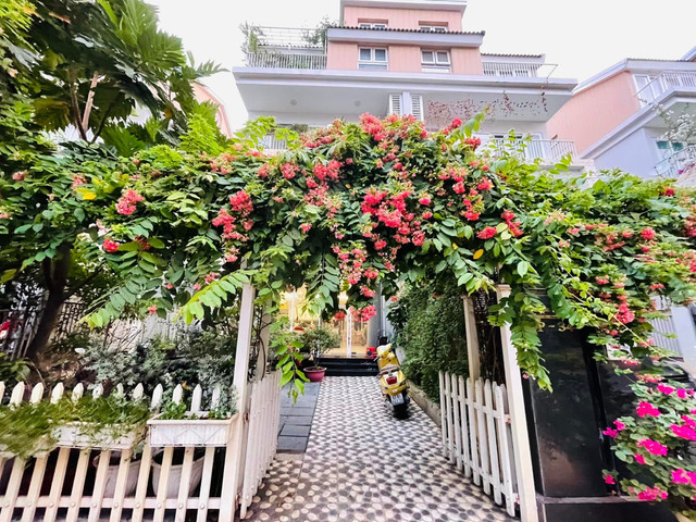 Than Thuy Ha so huu trong co ngoi be the ngap cay xanh-Hinh-2