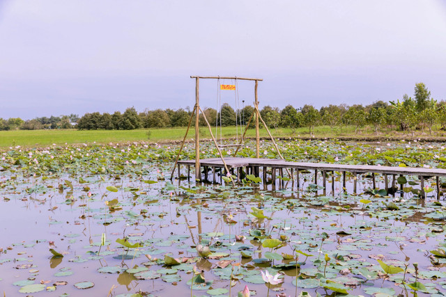 Cận cảnh khu sinh thái Phố Ông Lang rộng hơn 10.000 m2 - Hình 4 Can canh khu sinh thai Pho Ong Lang rong hon 10.000 m2-Hinh-4