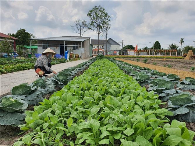 Cận cảnh khu sinh thái Phố Ông Lang rộng hơn 10.000 m2 - Hình 9 Can canh khu sinh thai Pho Ong Lang rong hon 10.000 m2-Hinh-9
