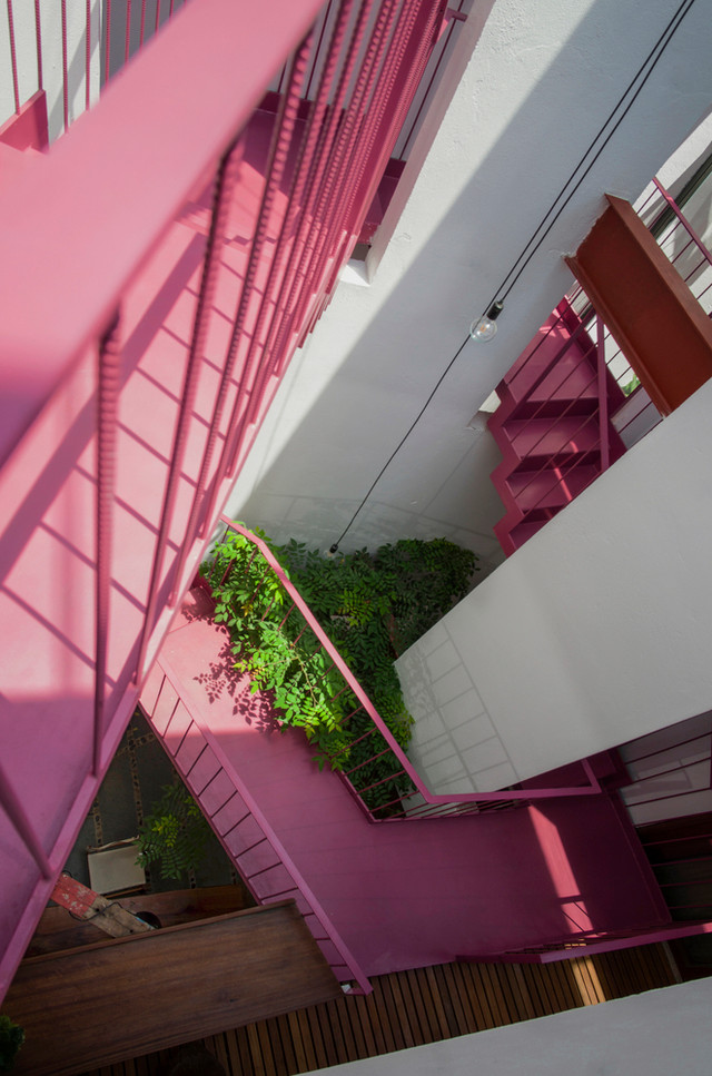 Ngỡ ngàng ngôi nhà ở Đà Nẵng đặt vườn cây trong bếp lên báo Mỹ - Hình 6 Ngo ngang ngoi nha o Da Nang dat vuon cay trong bep len bao My-Hinh-6