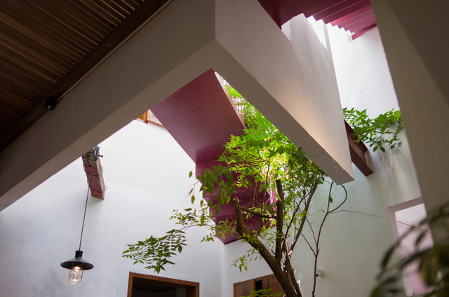 Ngỡ ngàng ngôi nhà ở Đà Nẵng đặt vườn cây trong bếp lên báo Mỹ - Hình 3 Ngo ngang ngoi nha o Da Nang dat vuon cay trong bep len bao My-Hinh-3