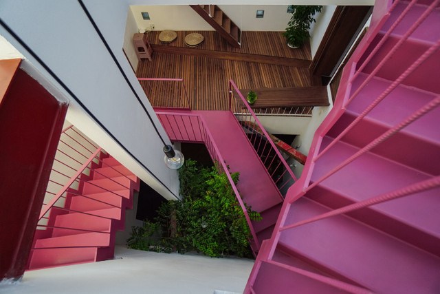 Ngỡ ngàng ngôi nhà ở Đà Nẵng đặt vườn cây trong bếp lên báo Mỹ - Hình 4 Ngo ngang ngoi nha o Da Nang dat vuon cay trong bep len bao My-Hinh-4