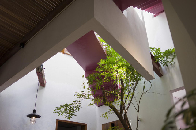 Ngỡ ngàng ngôi nhà ở Đà Nẵng đặt vườn cây trong bếp lên báo Mỹ - Hình 8 Ngo ngang ngoi nha o Da Nang dat vuon cay trong bep len bao My-Hinh-8