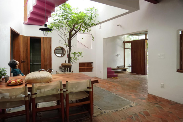 Ngỡ ngàng ngôi nhà ở Đà Nẵng đặt vườn cây trong bếp lên báo Mỹ - Hình 7 Ngo ngang ngoi nha o Da Nang dat vuon cay trong bep len bao My-Hinh-7