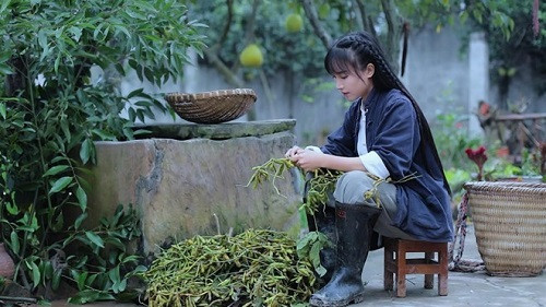 'Tiên nữ đồng quê' Lý Tử Thất thu nhập khủng cỡ nào? - Hình 8 'Tien nu dong que' Ly Tu That thu nhap khung co nao?-Hinh-8