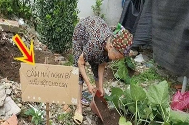 "Trăm phương ngàn kế" chống trộm của nông dân Việt - Hình 9 Thông báo rõ ràng để nấu bột cho con, có lẽ tên trộm sẽ thông cảm. Ảnh: 2sao